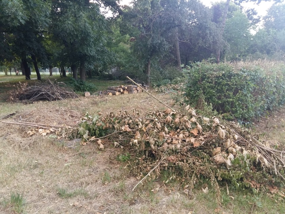 Parcul Feroviarilor a fost curățat de R.A.D.P.