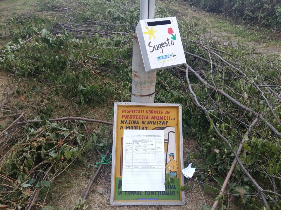Parcul Feroviarilor a fost curățat de R.A.D.P.