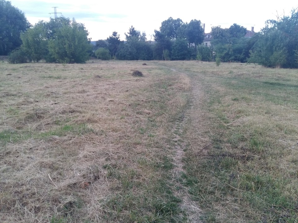 Parcul Feroviarilor a fost curățat de R.A.D.P.