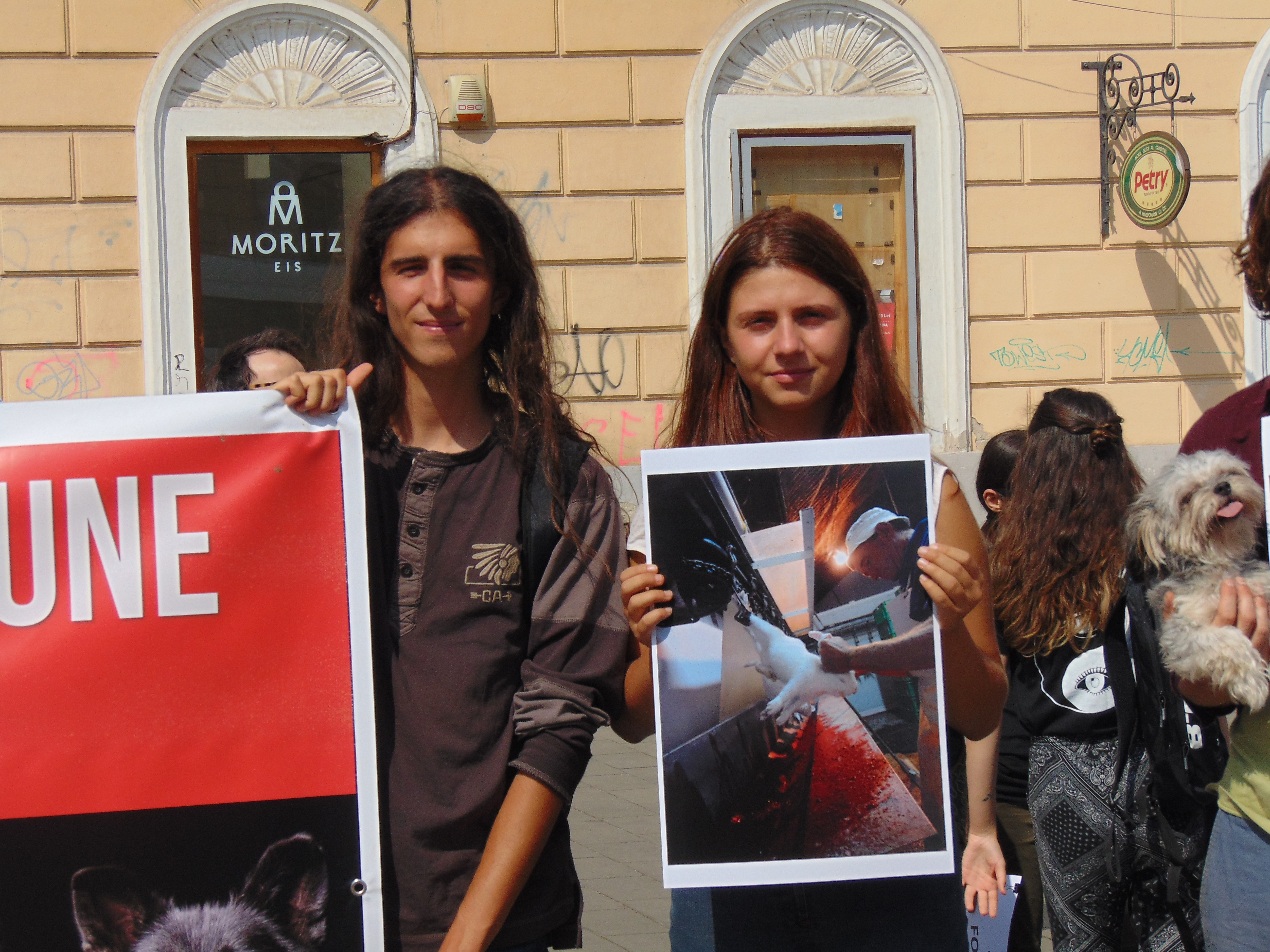 Veganii au confiscat un marș de bun simț dedicat reducerii cruzimii față de animale