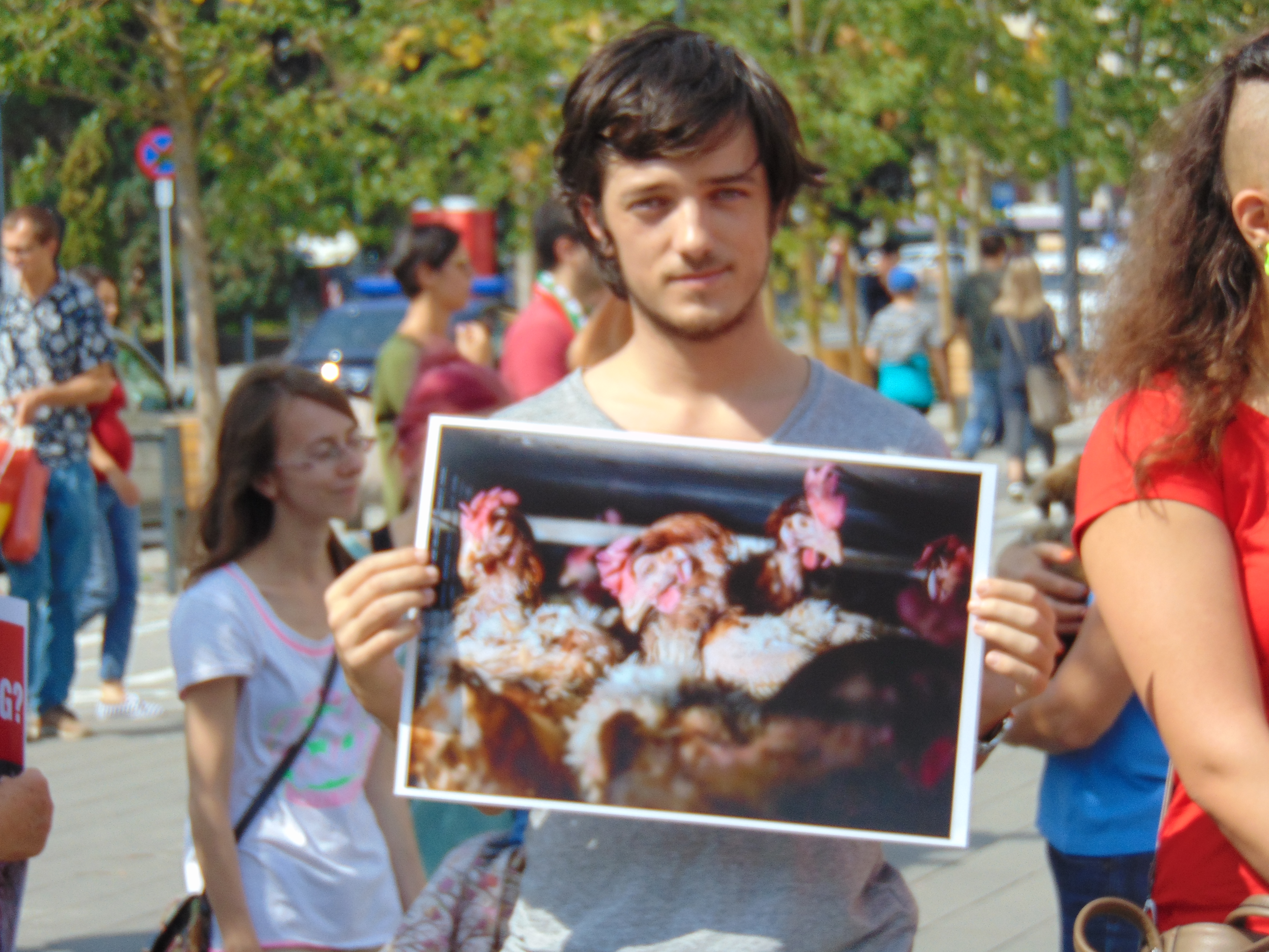 Veganii au confiscat un marș de bun simț dedicat reducerii cruzimii față de animale
