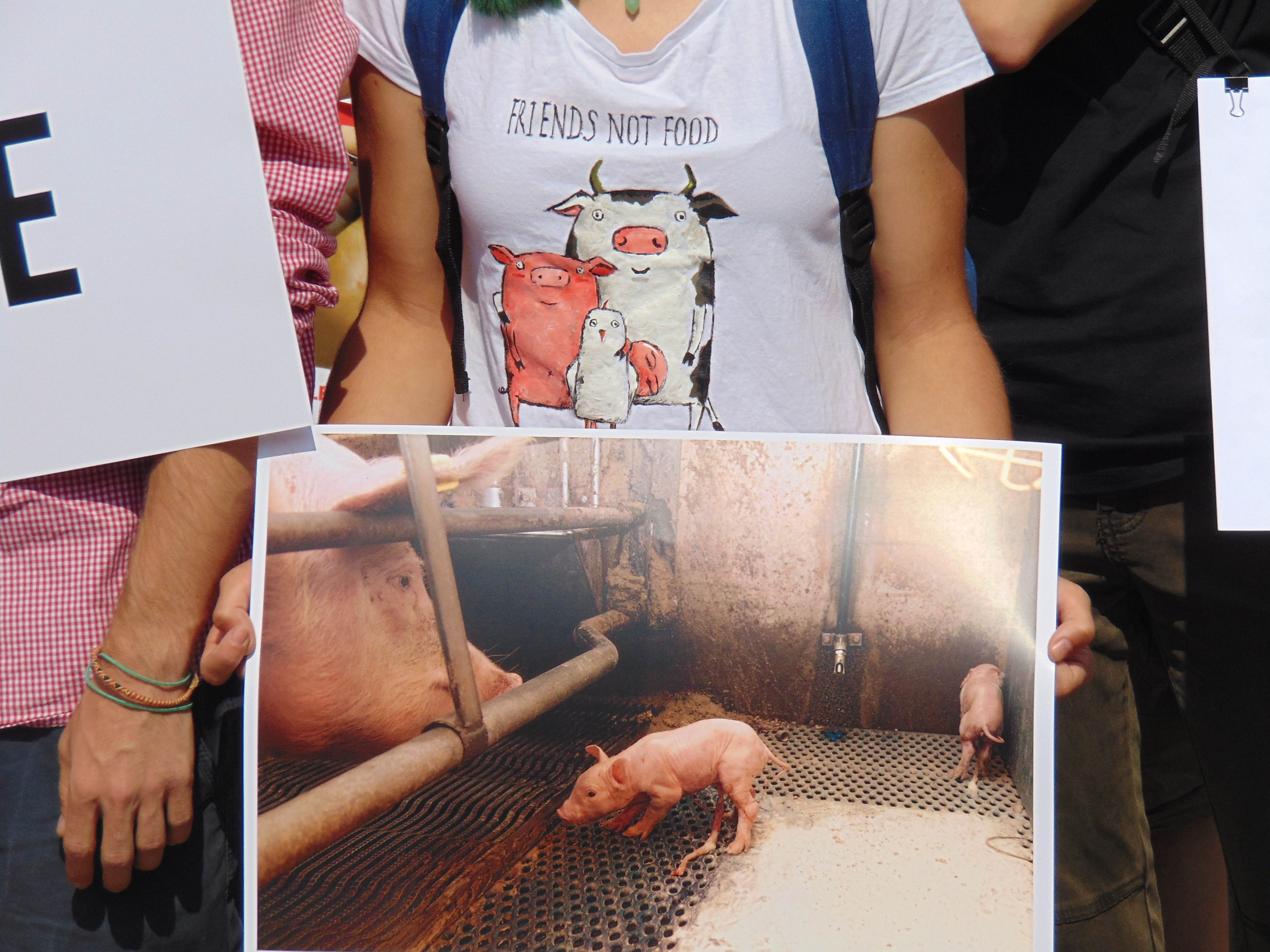 Veganii au confiscat un marș de bun simț dedicat reducerii cruzimii față de animale
