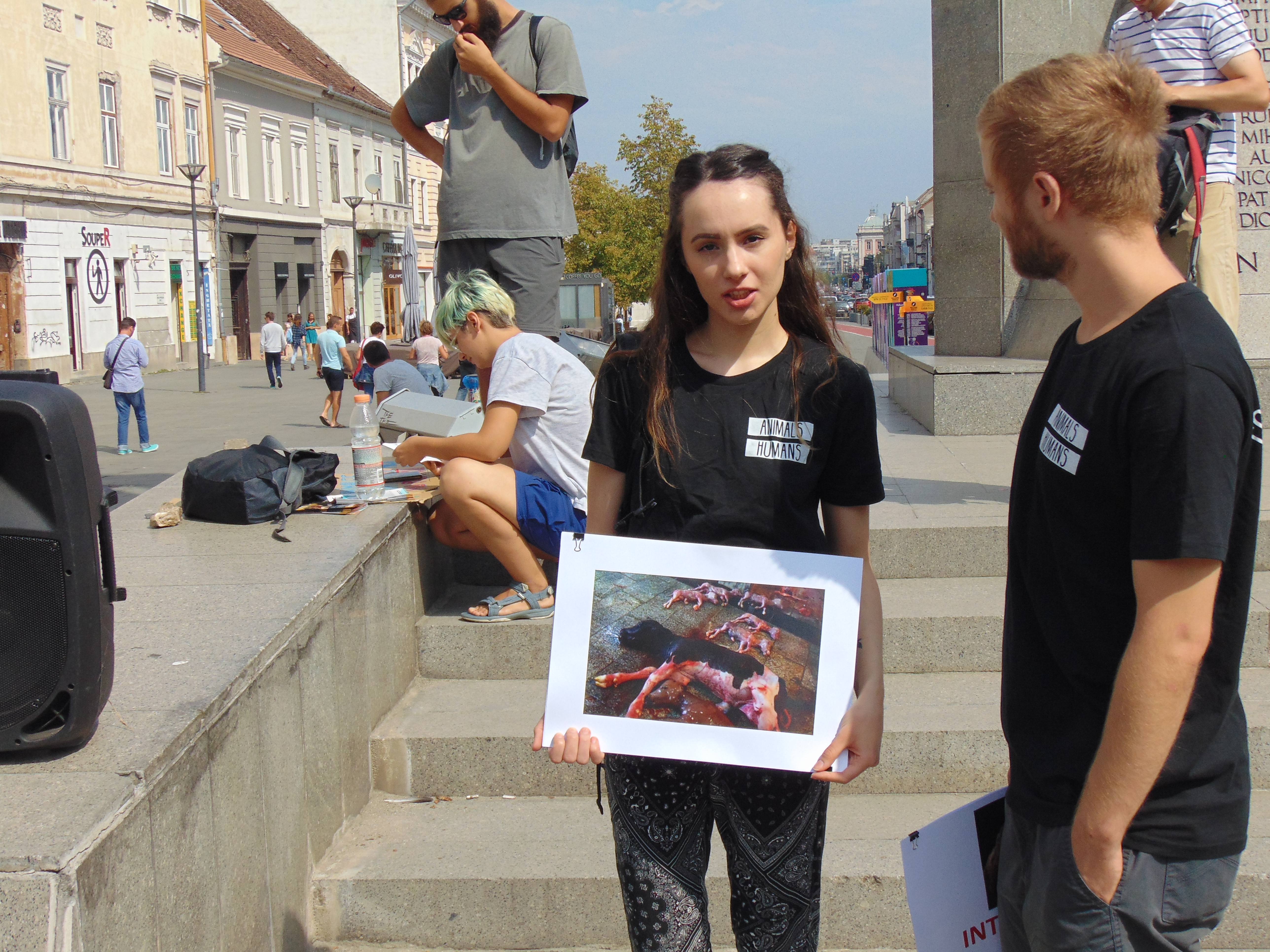 Veganii au confiscat un marș de bun simț dedicat reducerii cruzimii față de animale