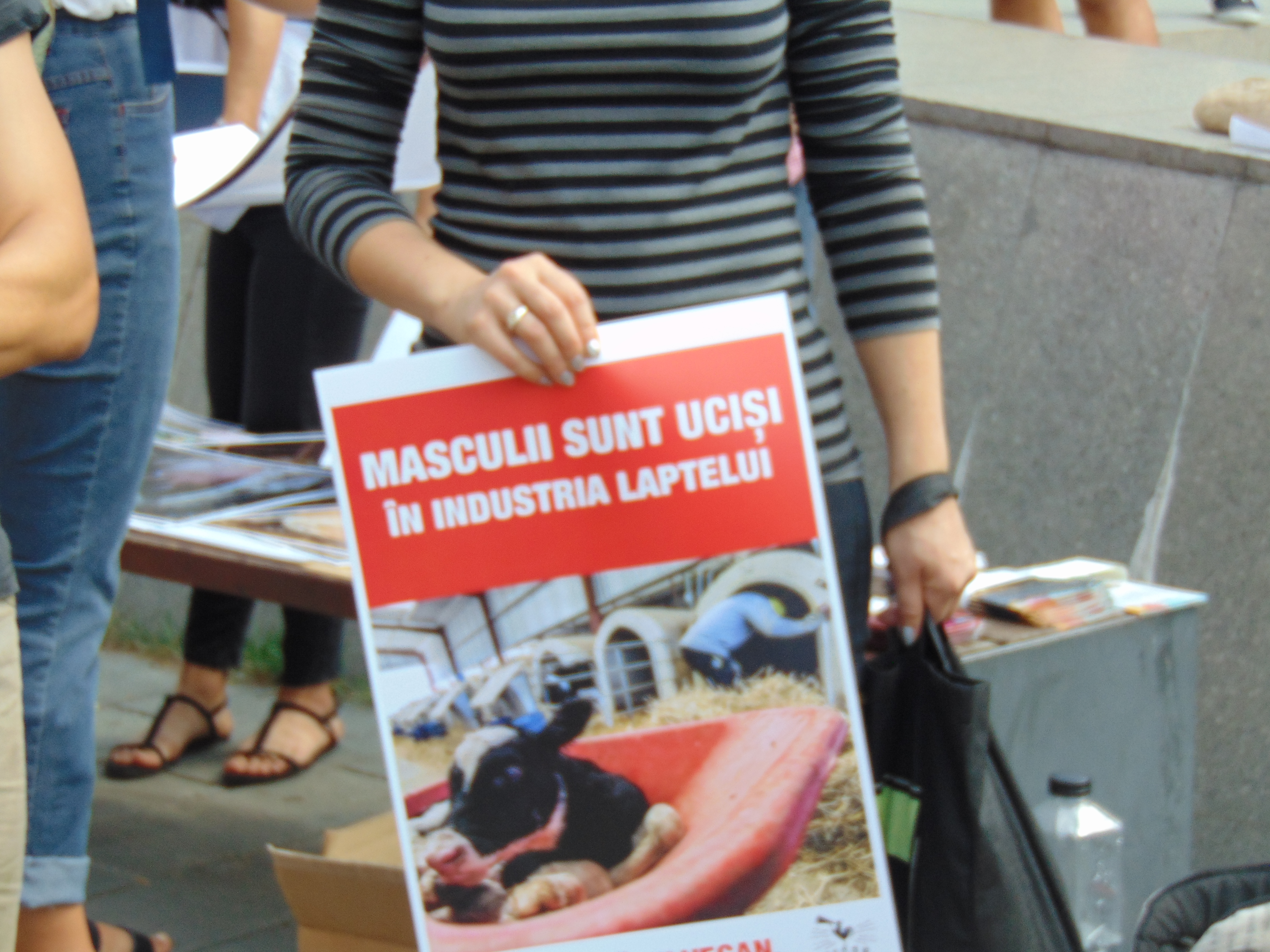 Veganii au confiscat un marș de bun simț dedicat reducerii cruzimii față de animale