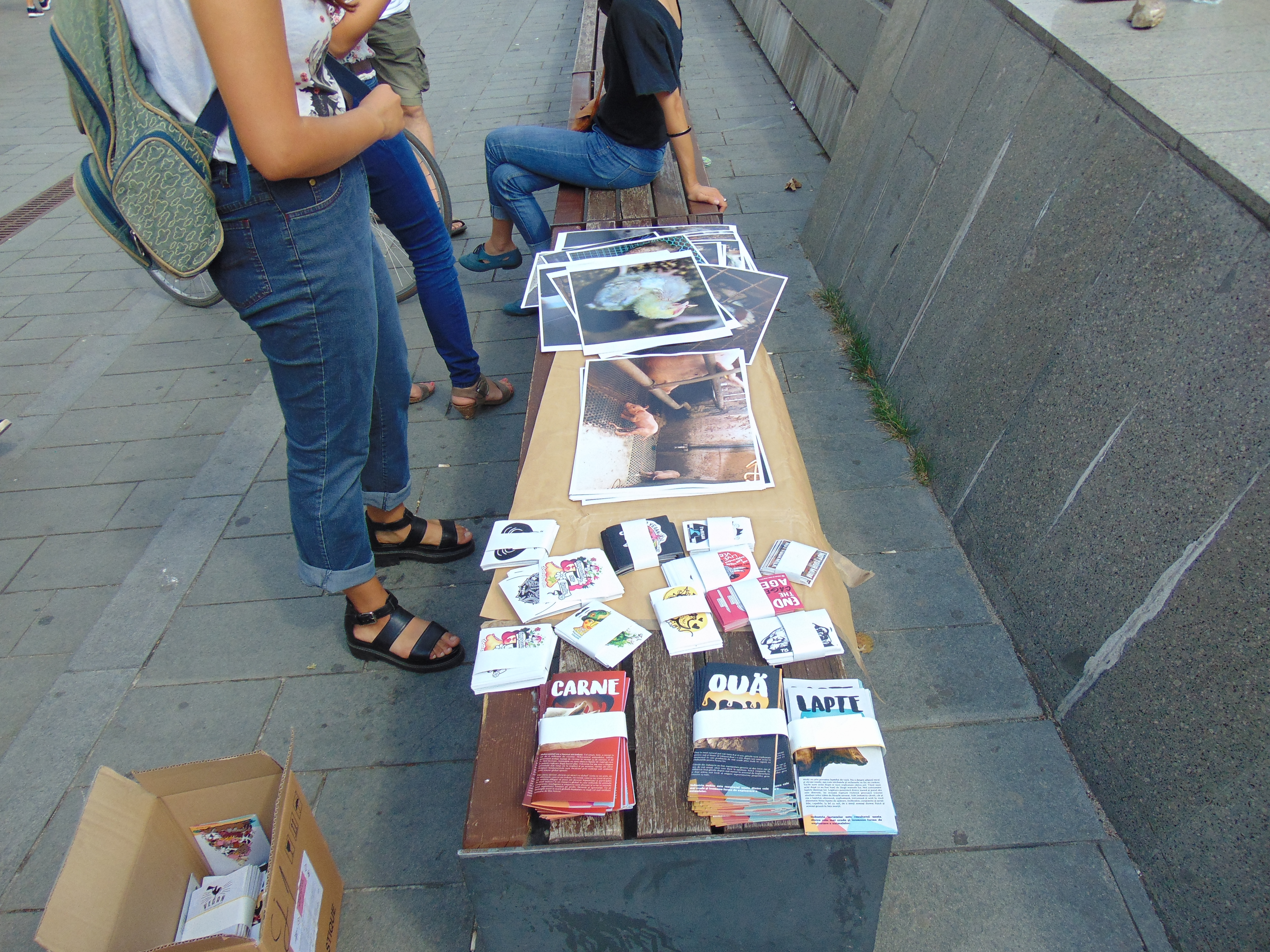 Veganii au confiscat un marș de bun simț dedicat reducerii cruzimii față de animale