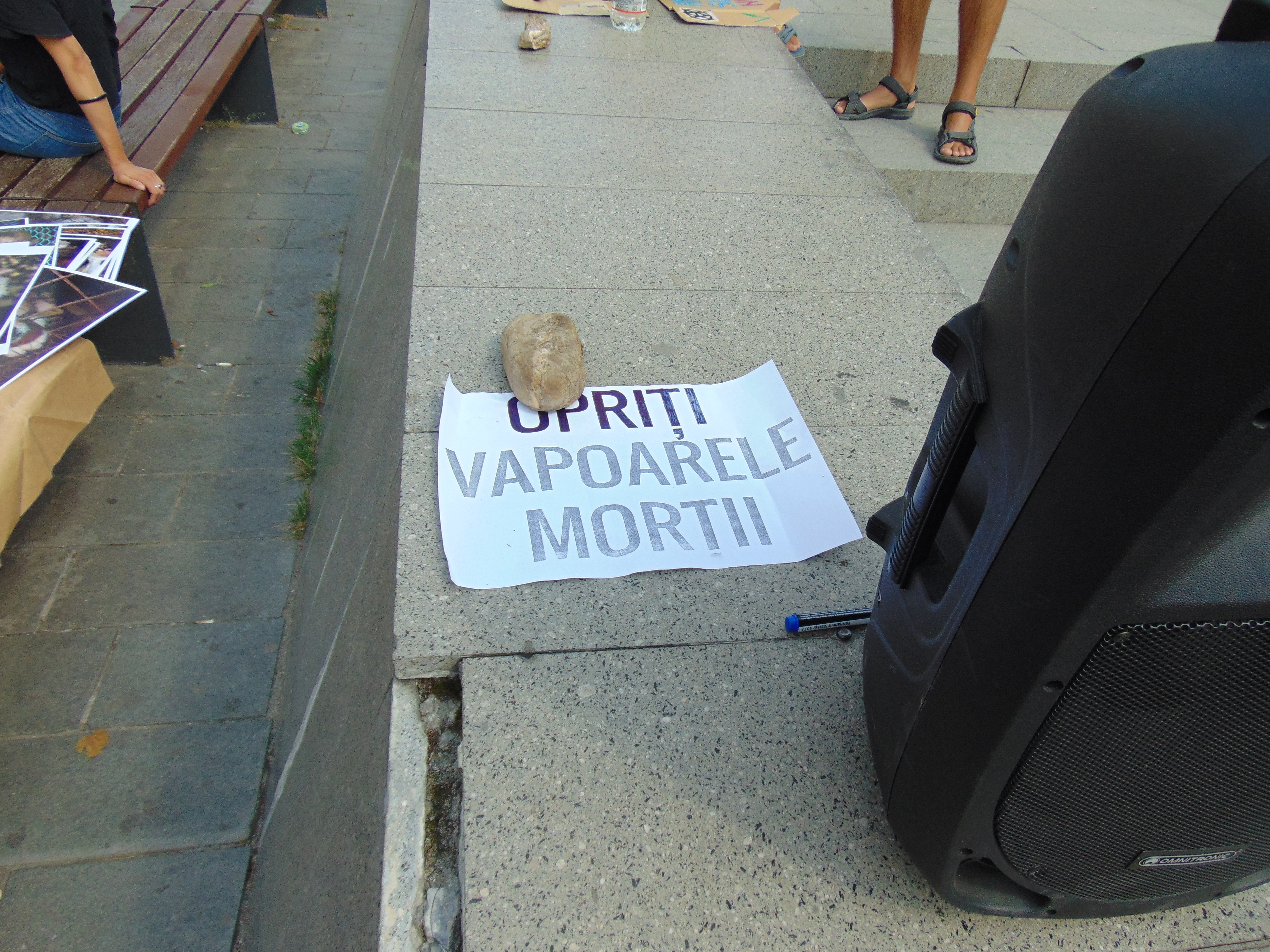 Veganii au confiscat un marș de bun simț dedicat reducerii cruzimii față de animale