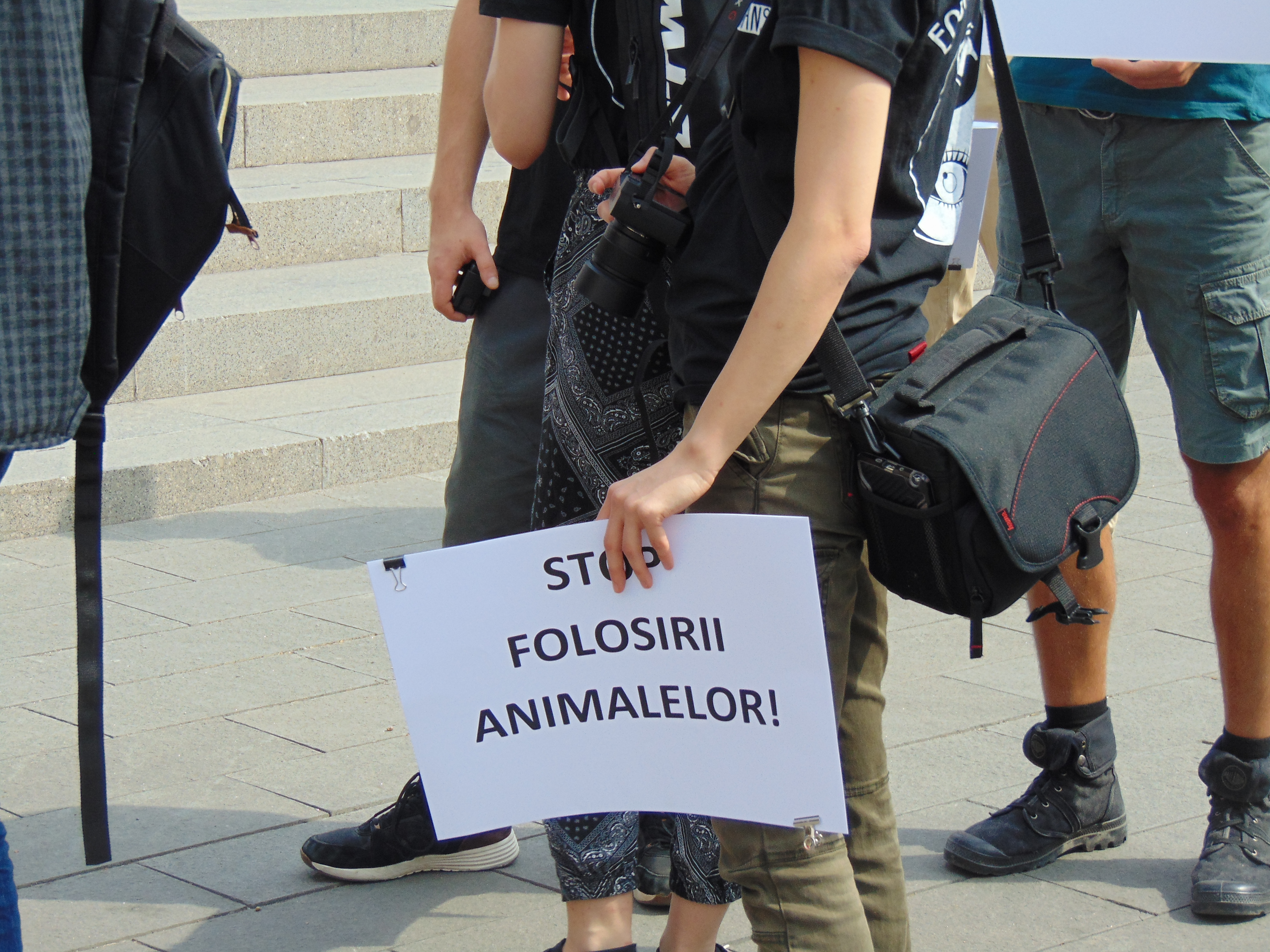 Veganii au confiscat un marș de bun simț dedicat reducerii cruzimii față de animale