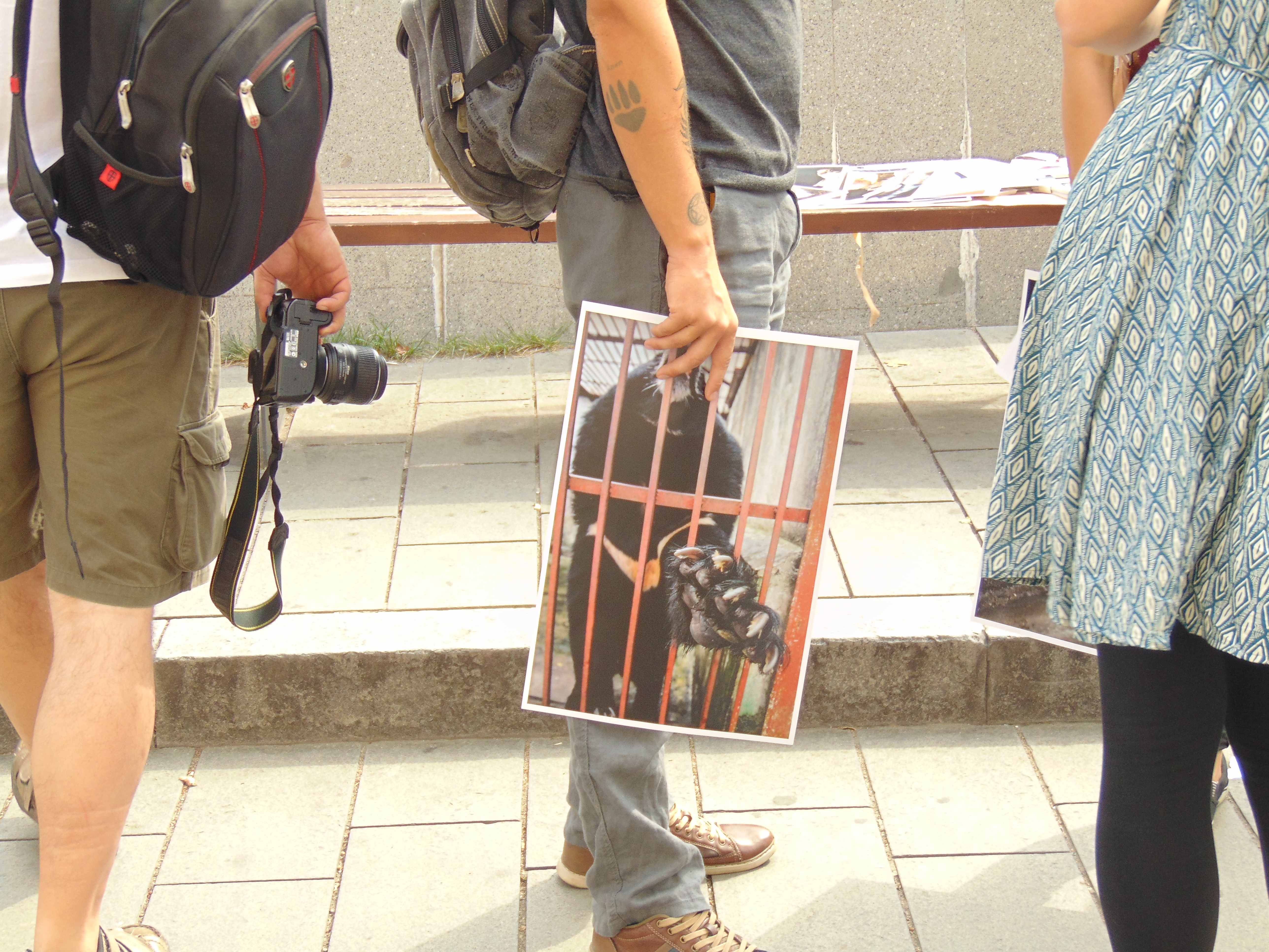 Veganii au confiscat un marș de bun simț dedicat reducerii cruzimii față de animale