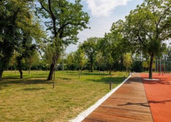 „Pare fratele mai mic al pădurii clujenilor”: ce spun oamenii despre Parcul Armătura, la o săptămână de la inaugurare
