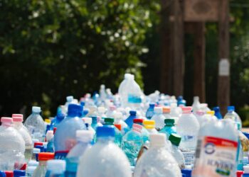Cristina Burciu: Toți românii vor putea să recicleze, printr-un efort minim