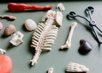 Impactul stilului de viata sedentar asupra sanatatii coloanei vertebrale